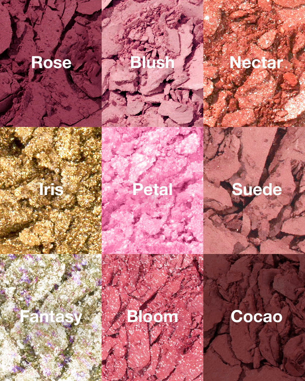 #color_ruby rose
